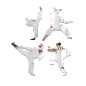 Preview: Kung Fu Spiegel Set