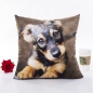 Preview: Softer Hund Kissenbezug