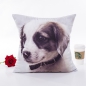 Preview: Softer Hund Kissenbezug