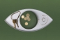 Preview: Schale The Eye Weiß & Grün