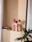 Preview: Vase Acquedotto Single Pink