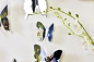 Preview: 3D Schmetterlinge 12er Set