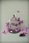 Preview: 3D Schmetterlinge 12er Set