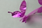 Preview: 3D Schmetterlinge 12er Set