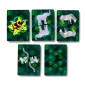 Preview: Spielkarten Animal Kingdom