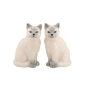 Preview: Salz- & Pfefferstreuer Ragdoll Katzen