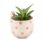 Preview: Blumentopf Peeking Katze