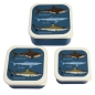 Preview: Snack Box Set Sharks