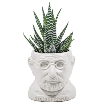 Mini Blumentopf Sigmund Freud
