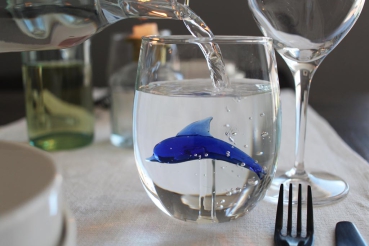 Delfin Glas