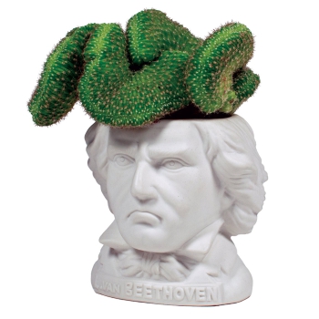 Mini Blumentopf Ludwig van Beethoven