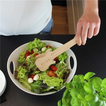 Salatzange Gitarre