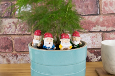Mini Gartenzwerge