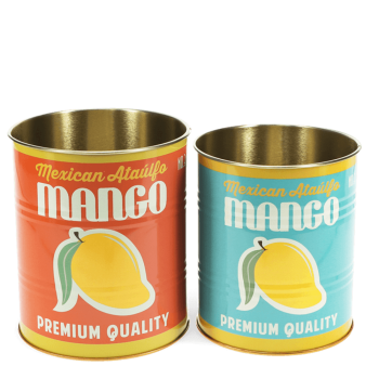 Aufbewahrungsdosen-Set Mango