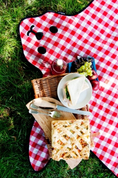 Picknickdecke Bär
