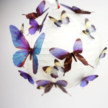 3D Schmetterlinge transparent
