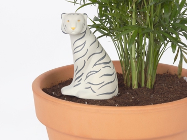 Jangal Tiger Selbstbewässerungssystem