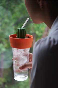 Preview: Snack Schale & Glas Deckel Cacnuts Orange-Grün