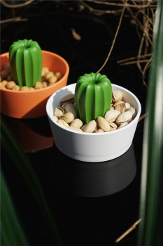 Preview: Snack Schale & Glas Deckel Cacnuts Weiß-Grün