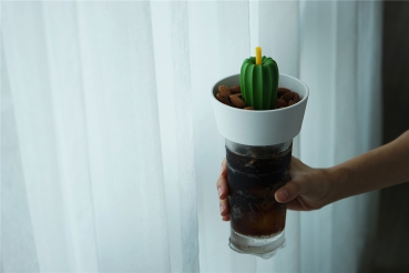 Preview: Snack Schale & Glas Deckel Cacnuts Weiß-Grün