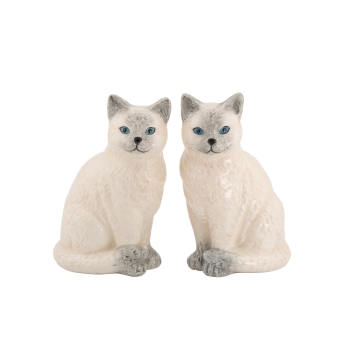 Salz- & Pfefferstreuer Ragdoll Katzen