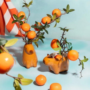 Preview: Mini Blumentopf Capybara