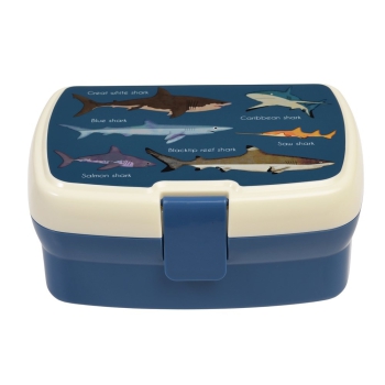 Lunchbox Sharks