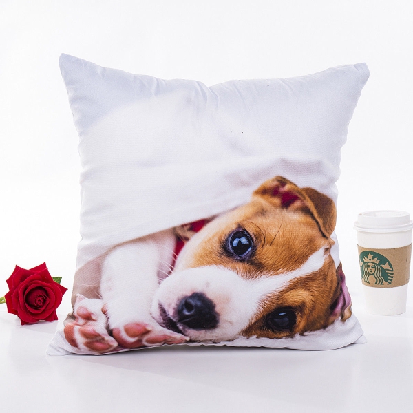 Softer Hund Kissenbezug