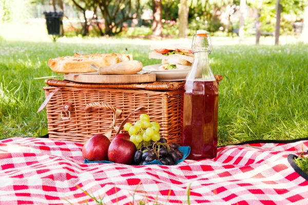 Picknickdecke Bär
