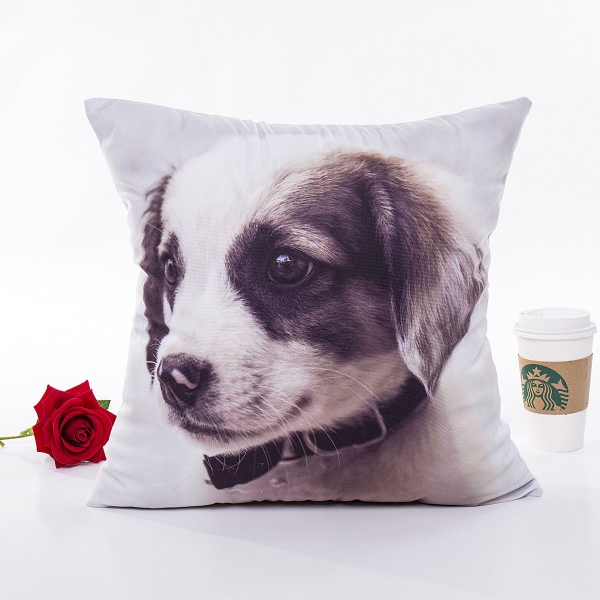 Softer Hund Kissenbezug