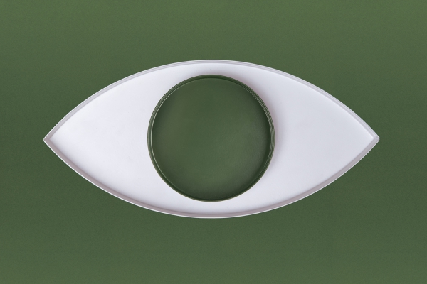 Schale The Eye Weiß & Grün