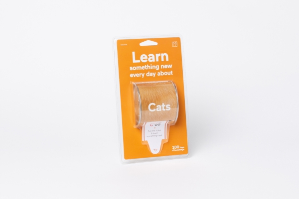 Learn something new every day about Cats
