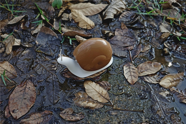 Seifenspender Schnecke Weiß-Braun