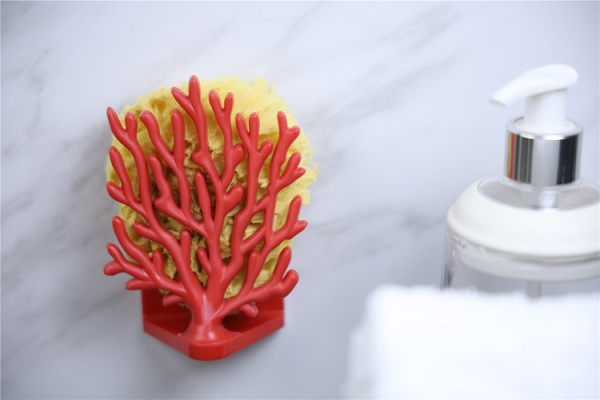 Schwammhalter Coral Rot