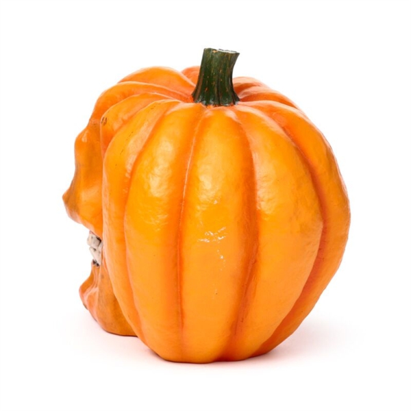 Kürbis Schädel