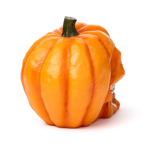 Kürbis Schädel