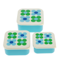 Snack Box Set Daisy Blau-Grün