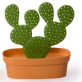 Schmuckhalter Kaktus Orange-Grün