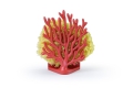 Schwammhalter Coral Rot